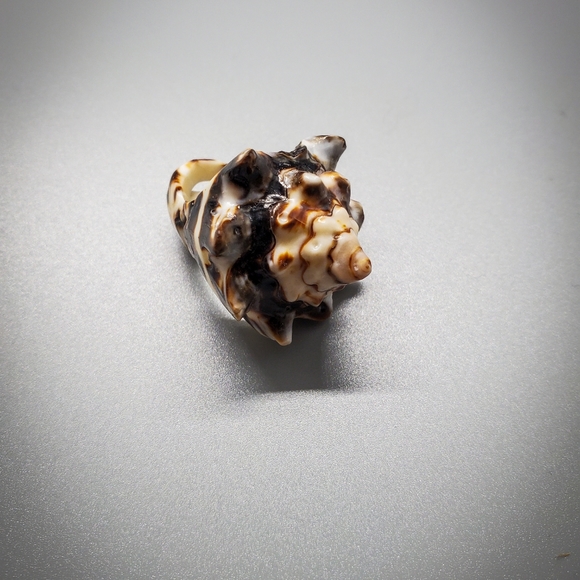 Ring - Picture 4 of 4